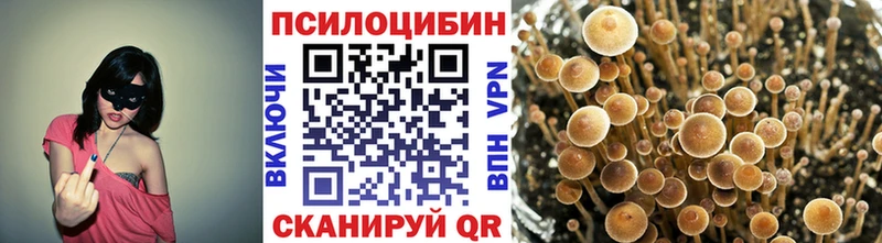 купить  цена  Зеленокумск  Псилоцибиновые грибы мицелий 